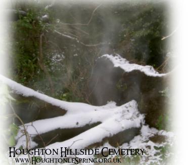 The outline of a spirit person at Hillside Cemetery? CLICK FOR LARGER VIEW