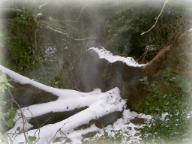 Click for a larger view