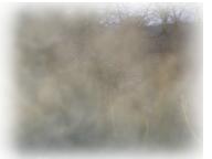 Click for a larger view