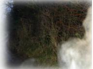 Click for a larger view