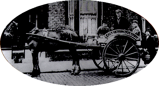 Jack Hutchinson of East Herrington Dairies, 1935