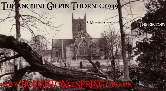 The anicent Gilpin Thorn, as seen in around 1949